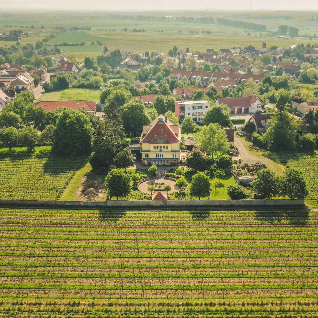 Zerozzante Raumland - The Collection