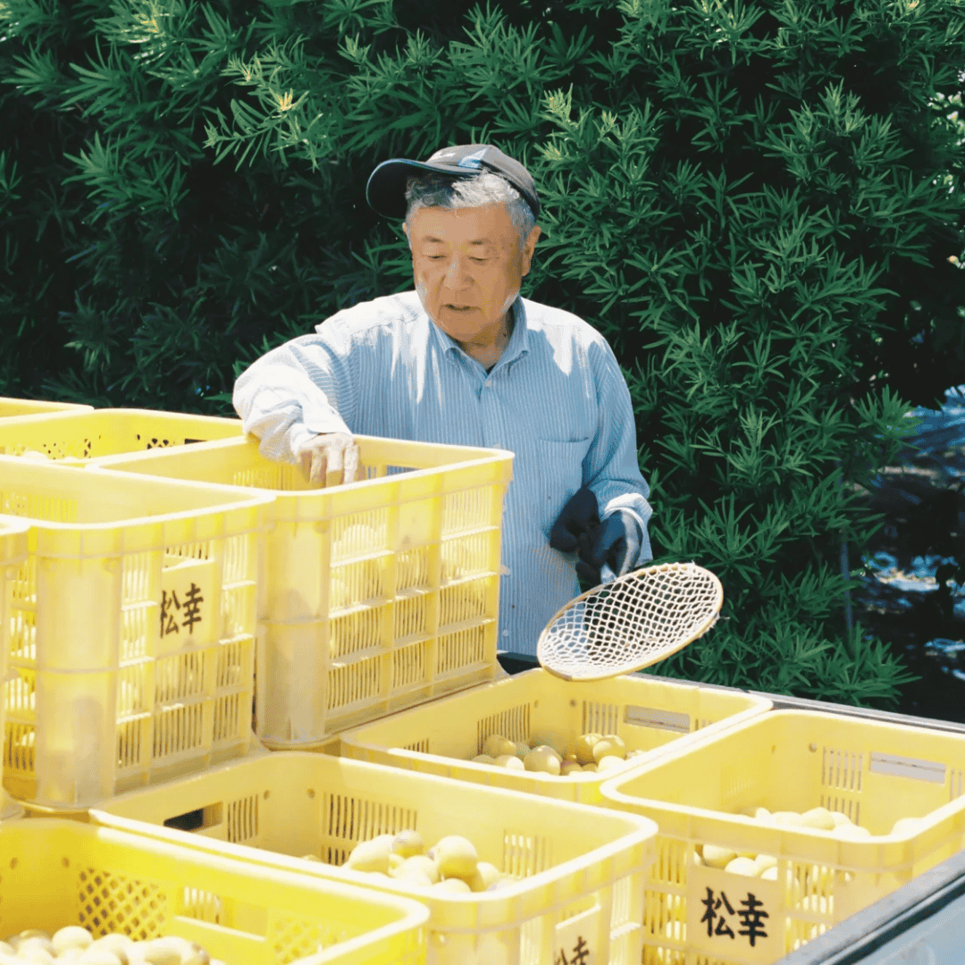 Kimino Yuzu - Sparkling water bij Nono Zero