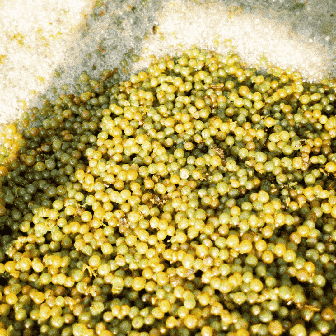 Lekkere alcoholvrije witte wijn: Kolonne Null Sauvignon Blanc 2024