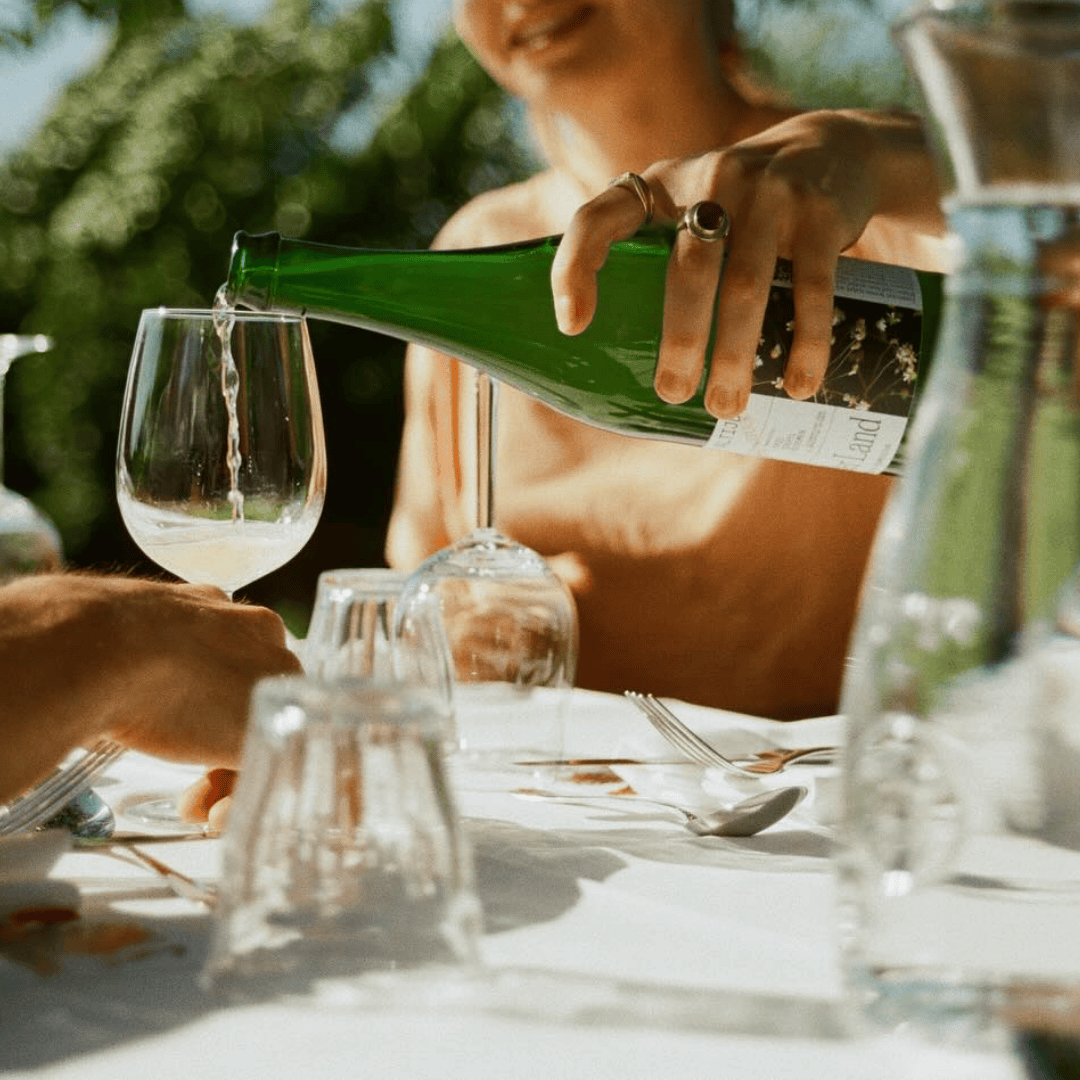 Lekkere kombucha | Wilder Land bij Nono Zero